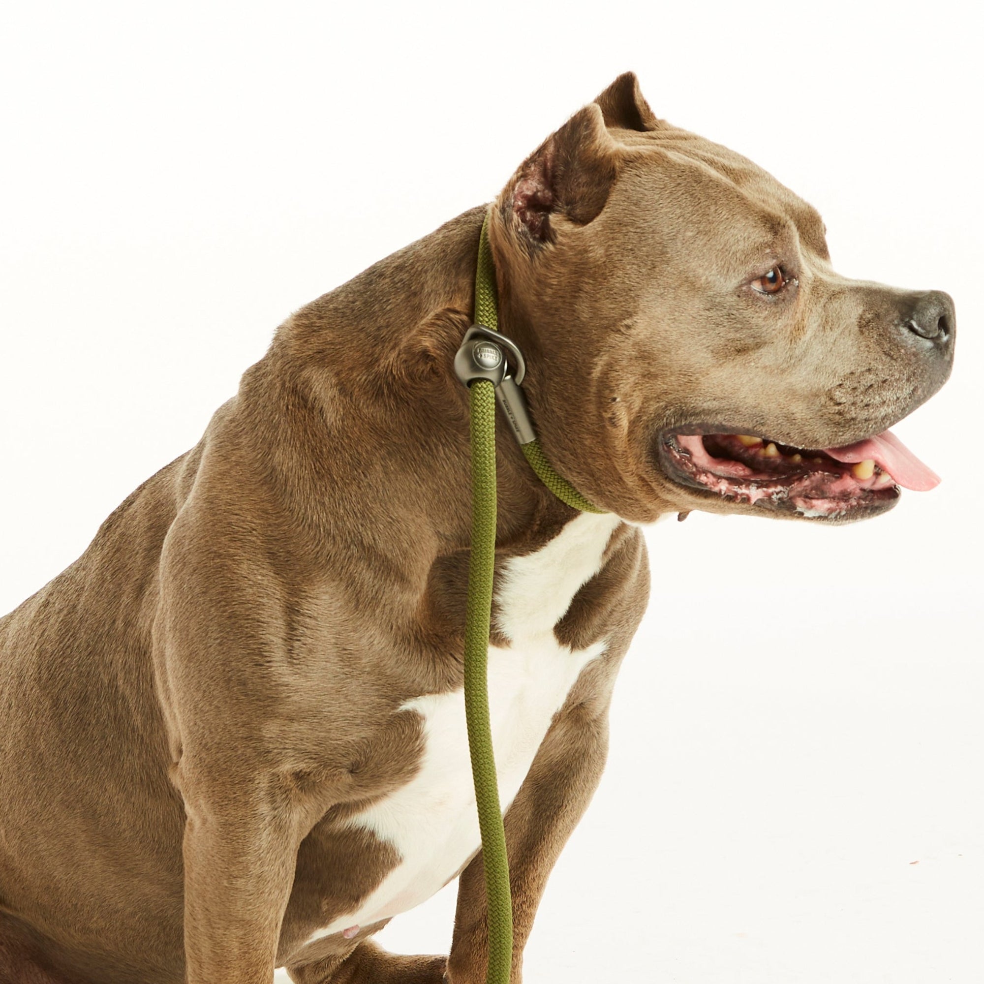 Olive Green Simple Slip Lead™