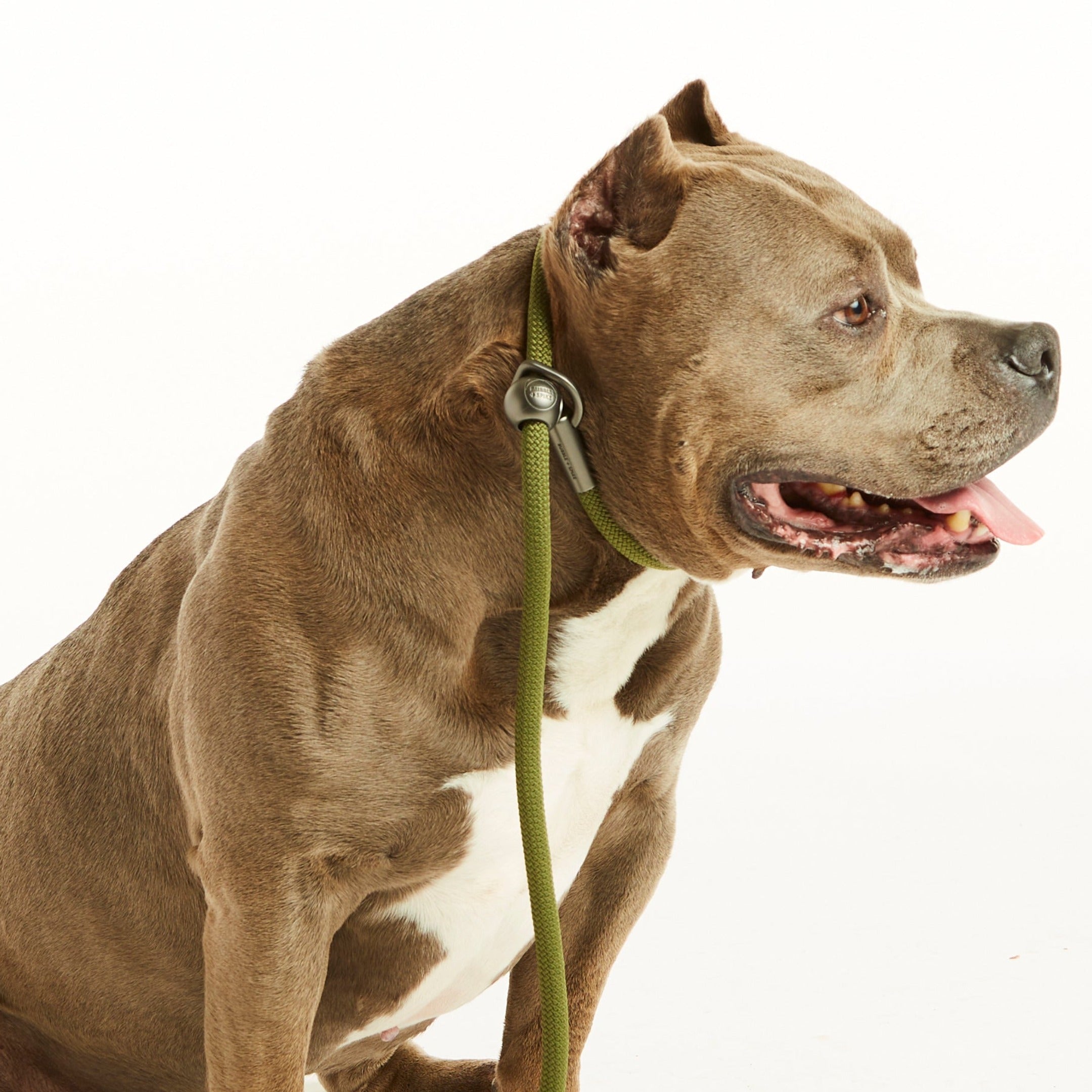 Olive Green Simple Slip Lead™