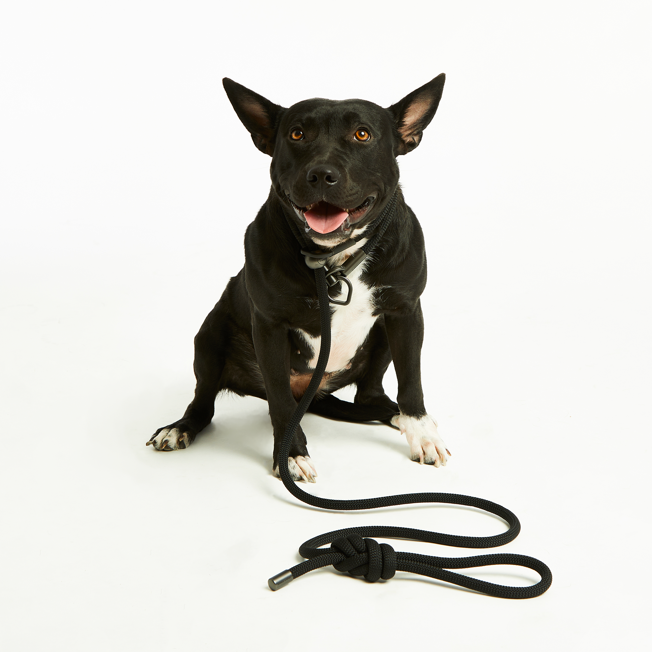 Flat Black Simple Slip Collar™