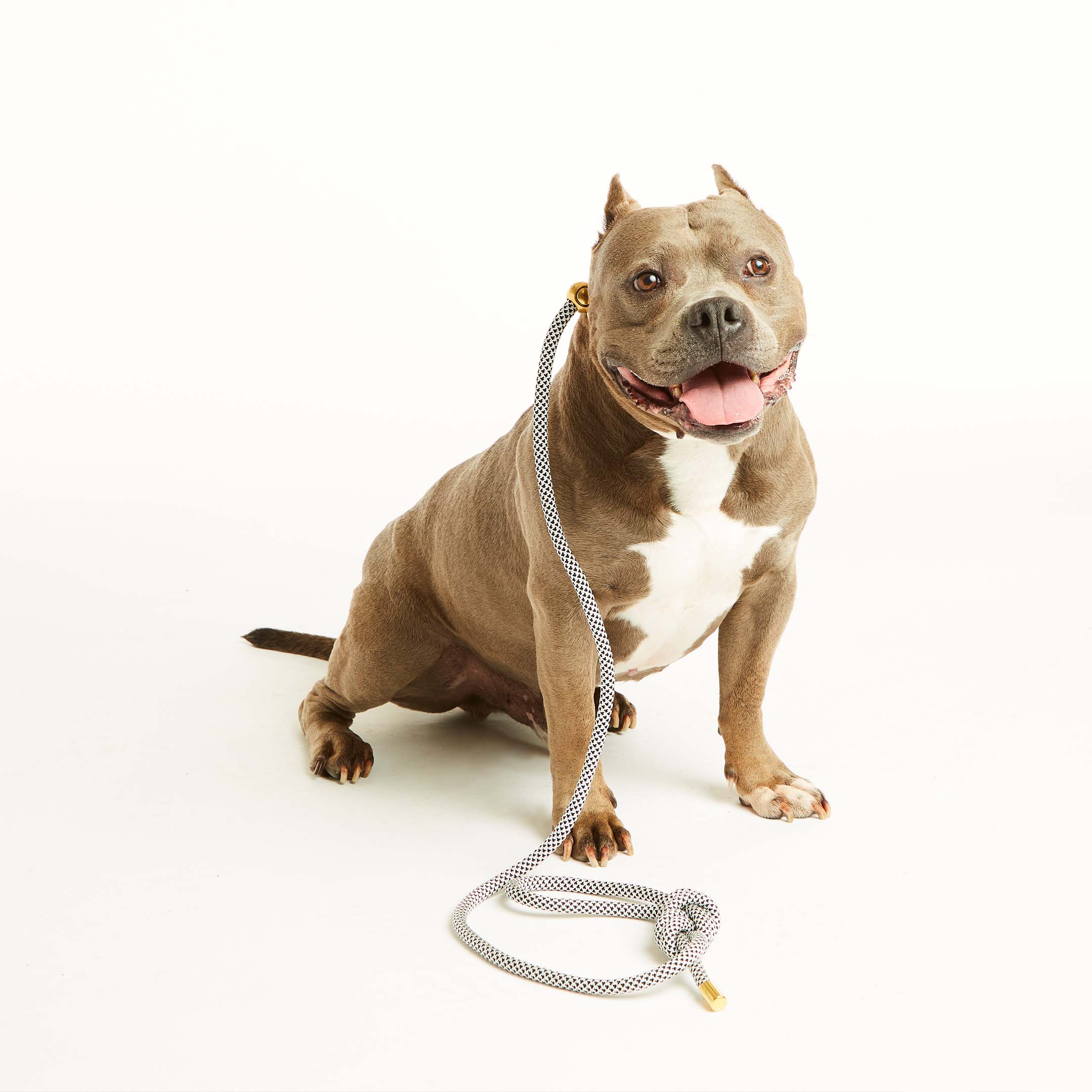 Black Diamond Simple Slip Lead™