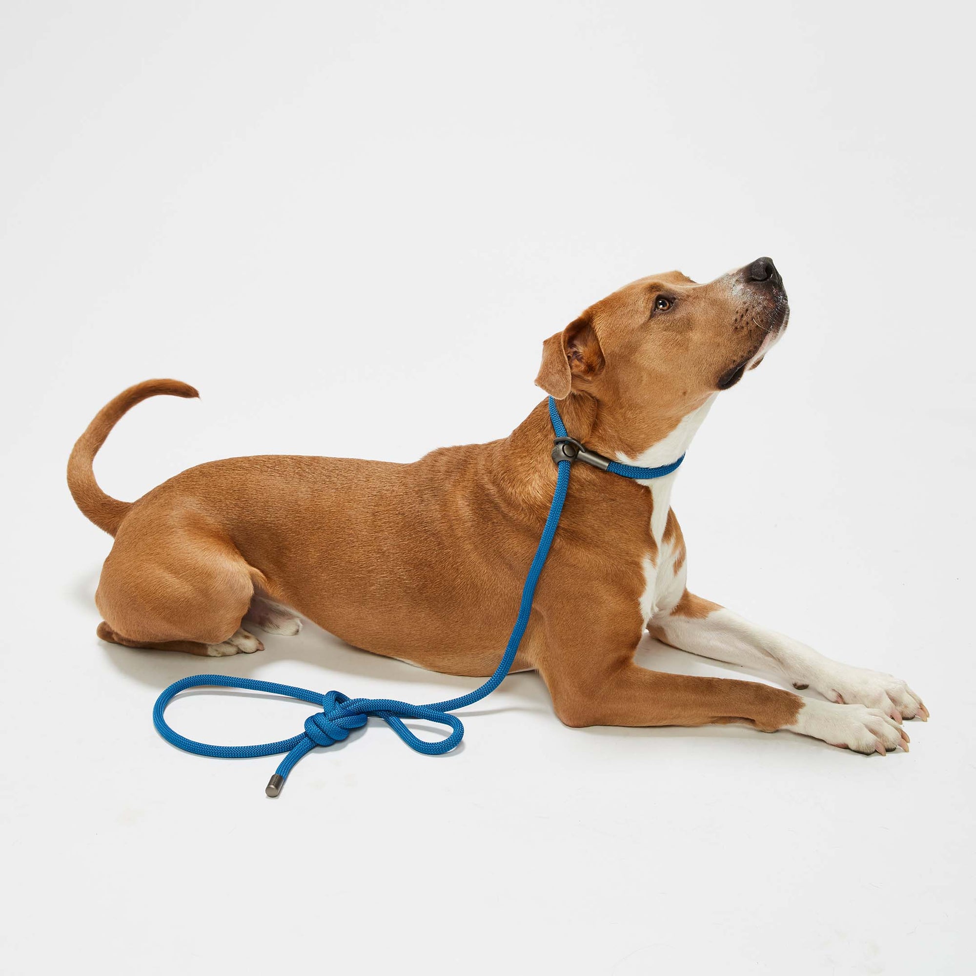 Cowboy Blue Simple Slip Lead™