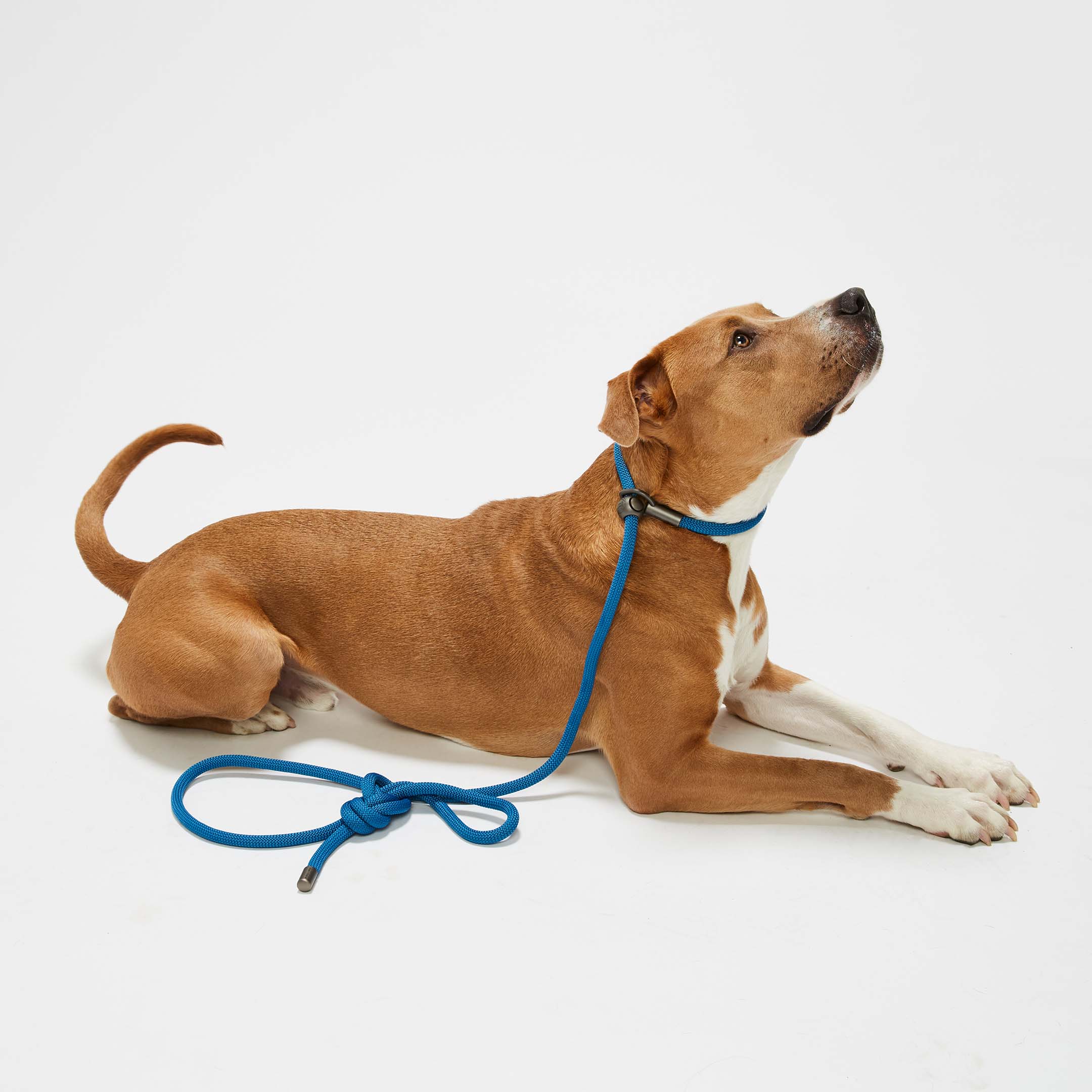 Cowboy Blue Simple Slip Lead™