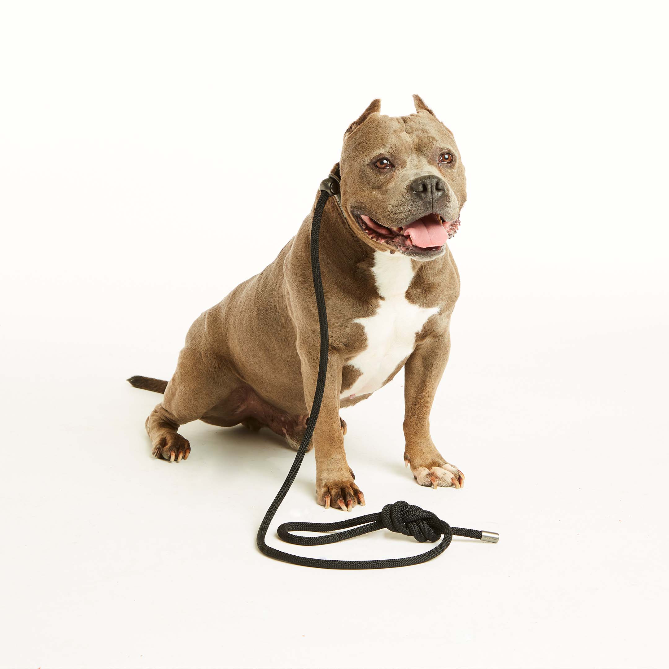 Flat Black Simple Slip Lead™