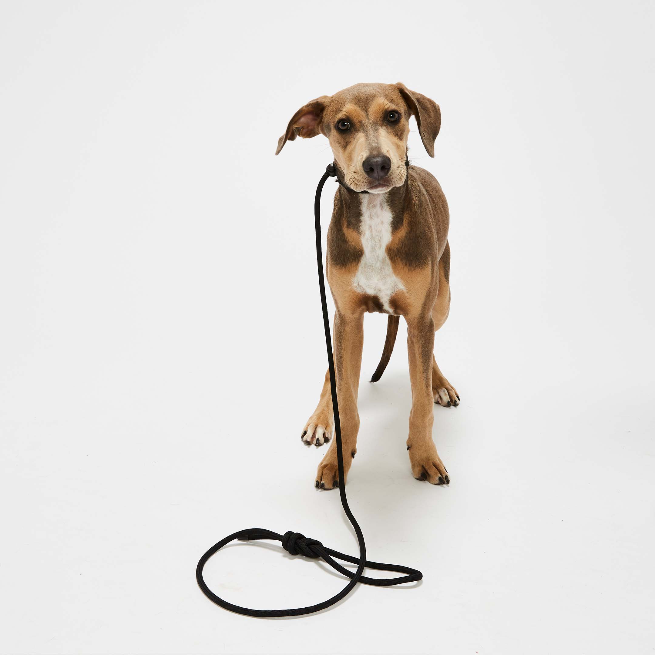 Mini Flat Black Simple Slip Lead™