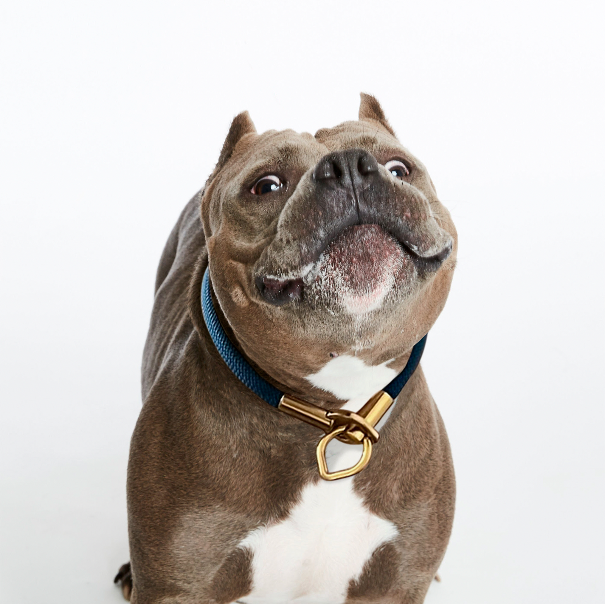 Classic Slip Collar™
