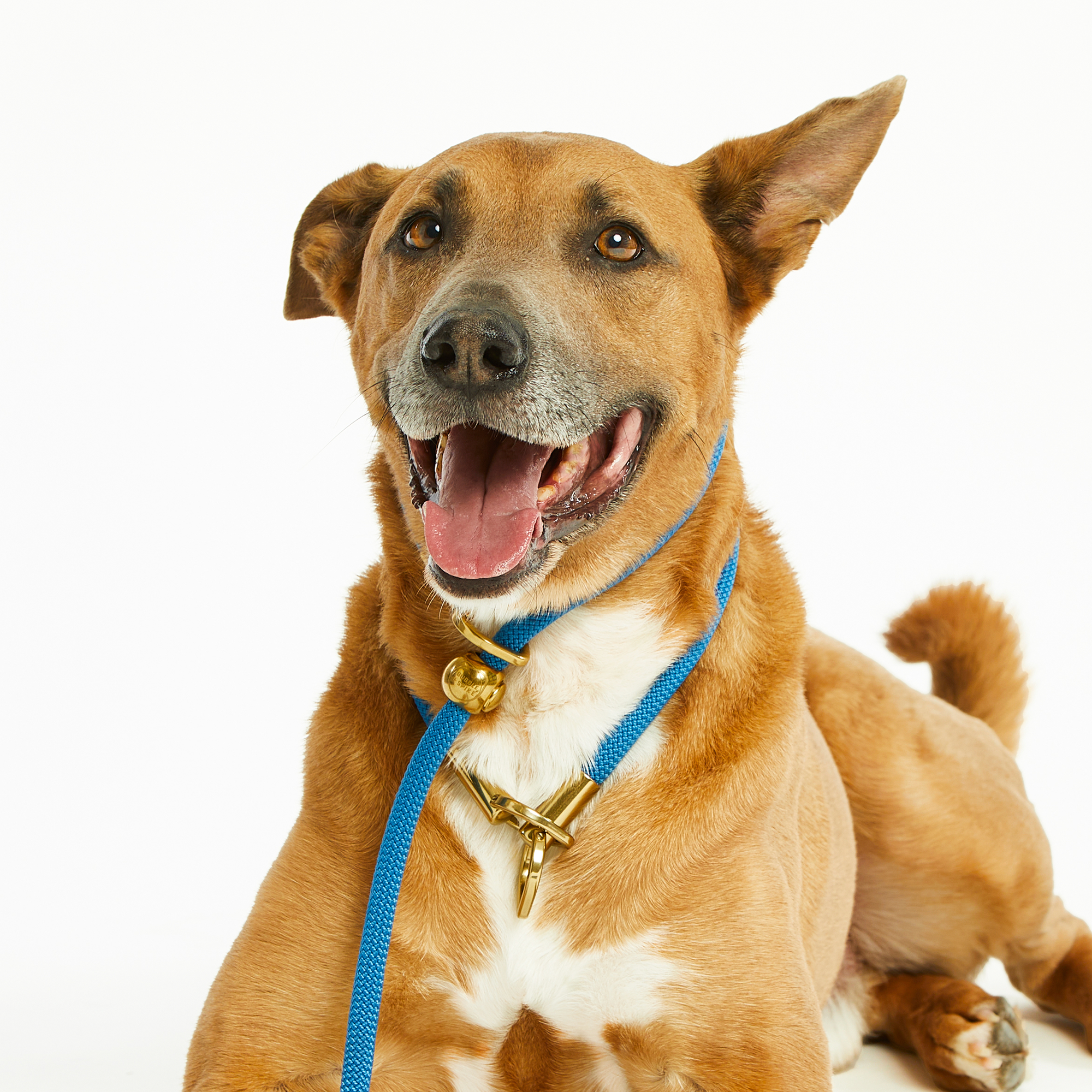 Blue Sapphire Simple Slip Collar™
