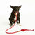 Cherry Swirl Simple Slip Lead™ + Simple Slip Collar™ Bundle