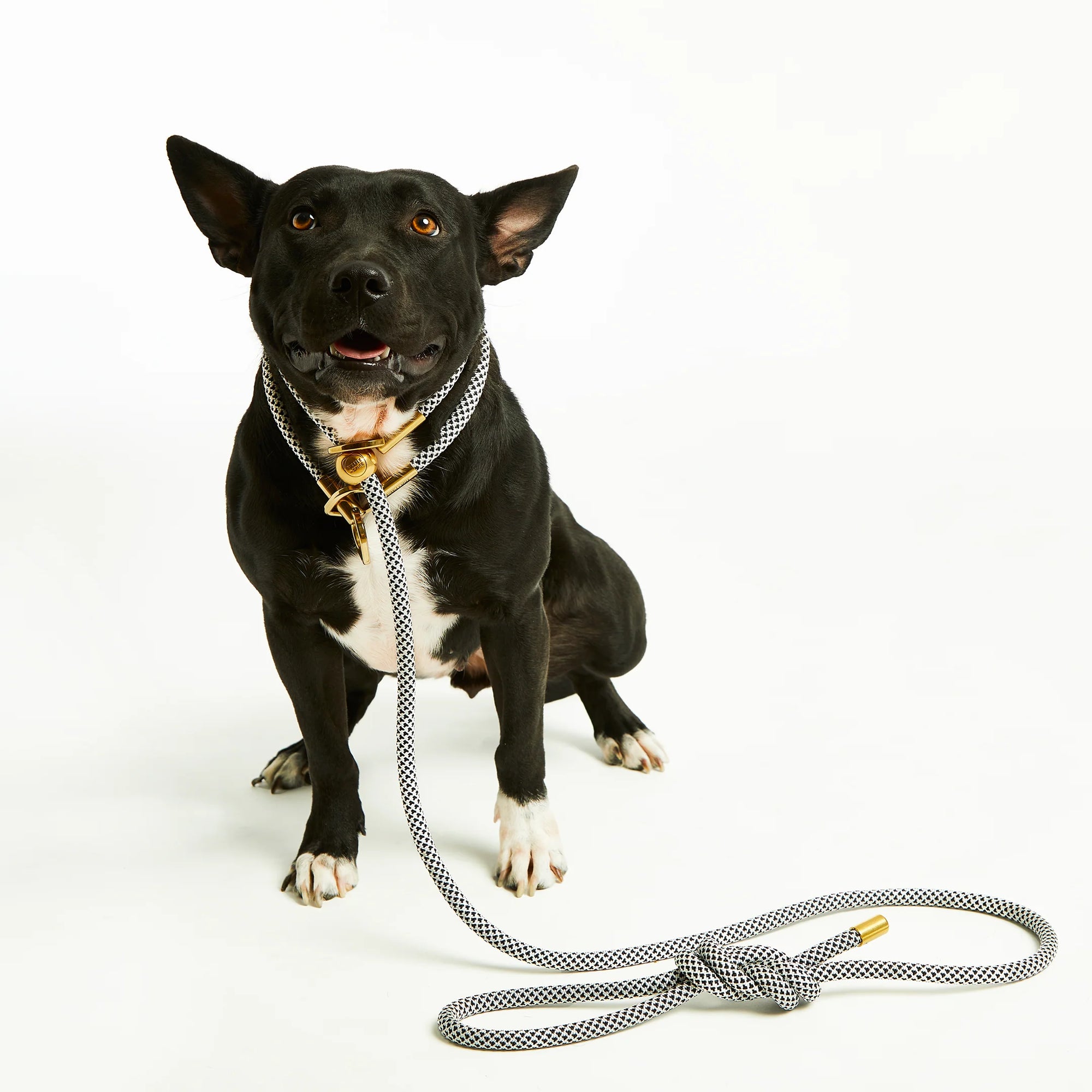 Black Diamond Simple Slip Lead™ + Simple Slip Collar™ Bundle