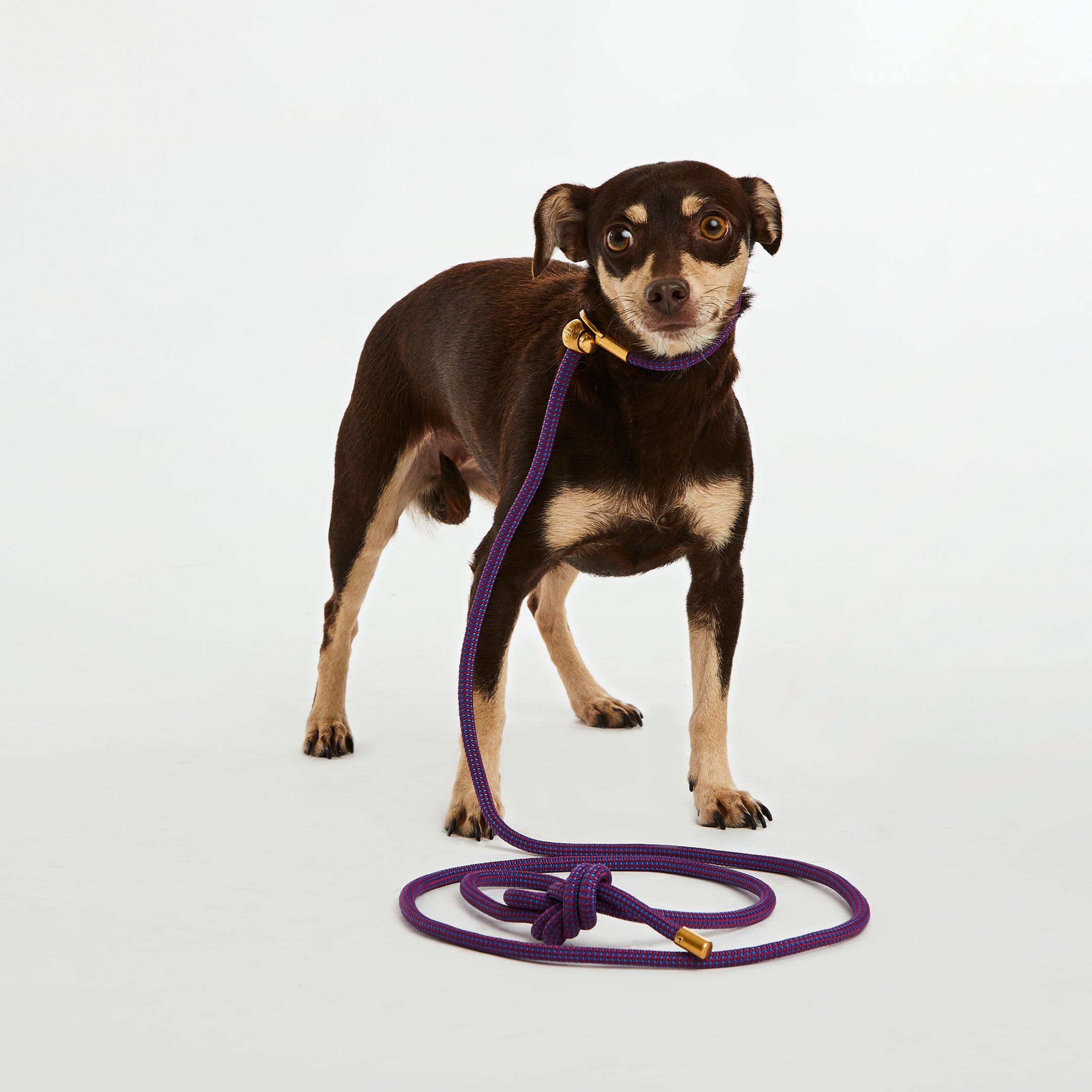 Mini Berry Confetti Simple Slip Lead™