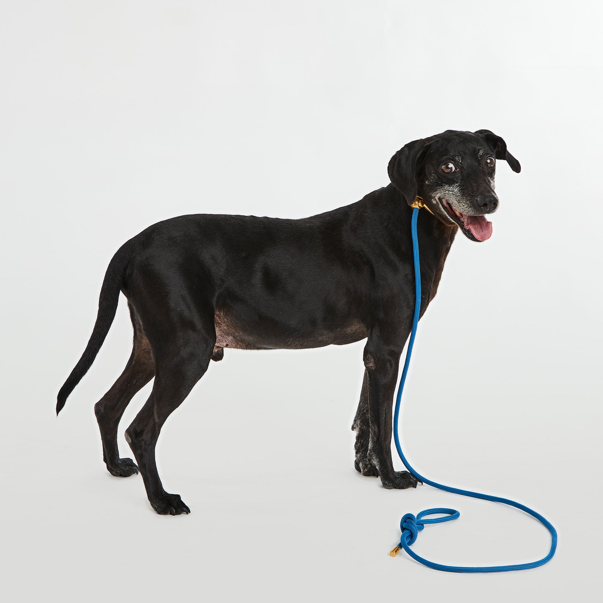 Mini Blue Sapphire Simple Slip Lead™