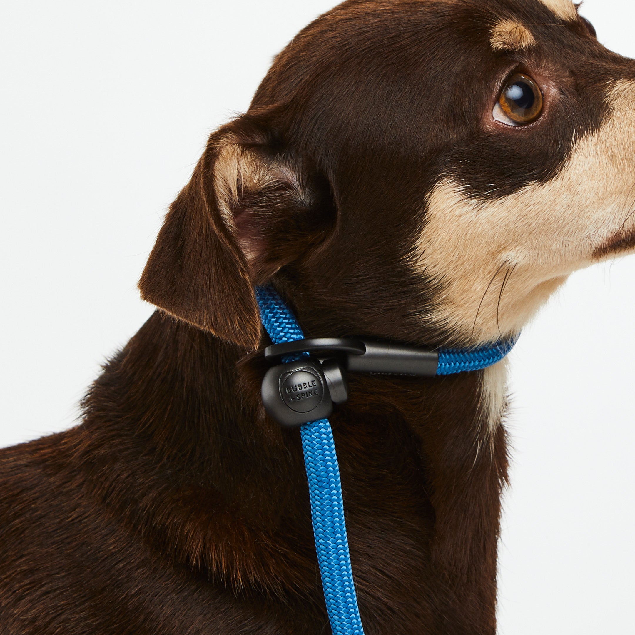 Mini Cowboy Blue Simple Slip Lead® – Bubble Spike