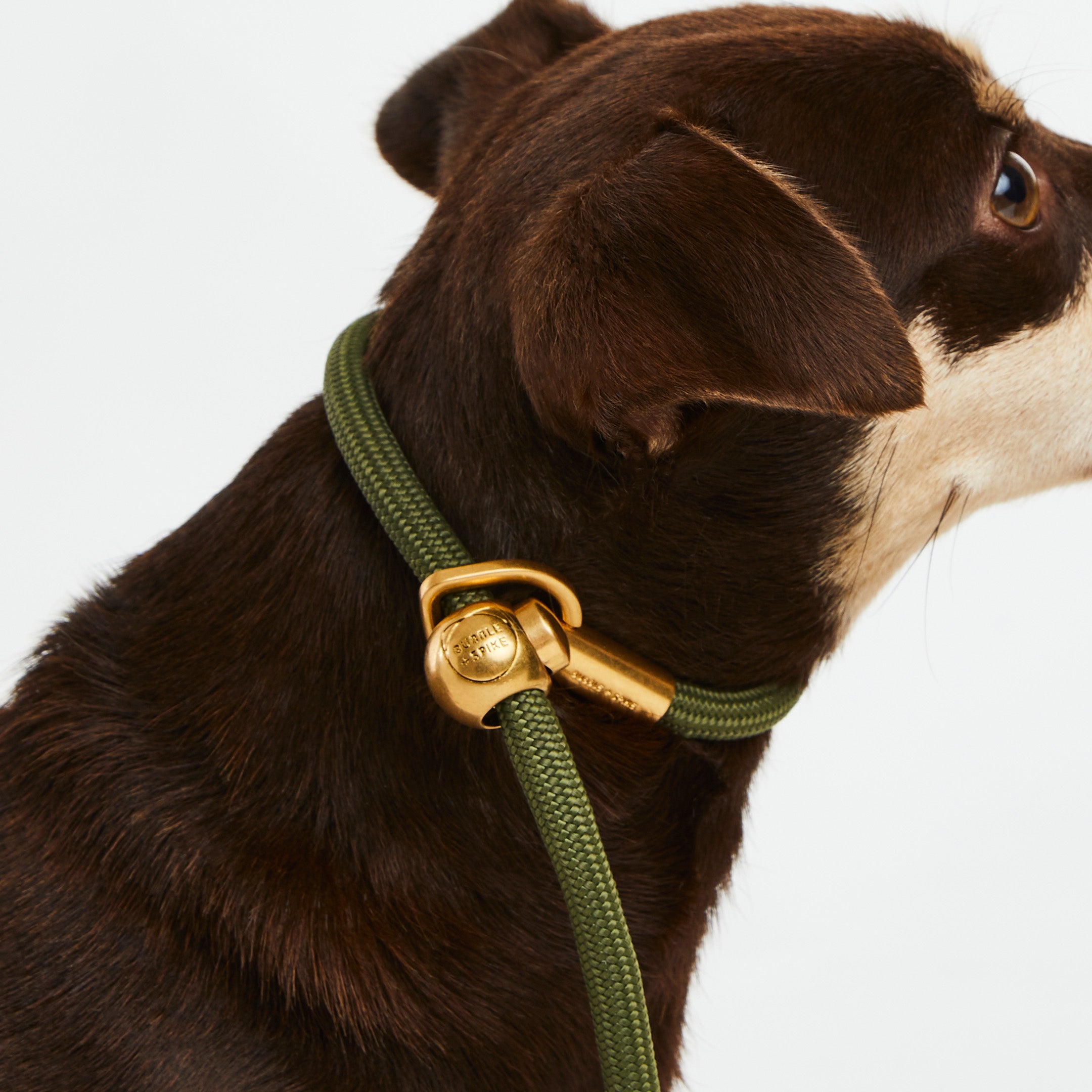 Mini Olive Gold Simple Slip Lead™ – Bubble Spike - Main Image