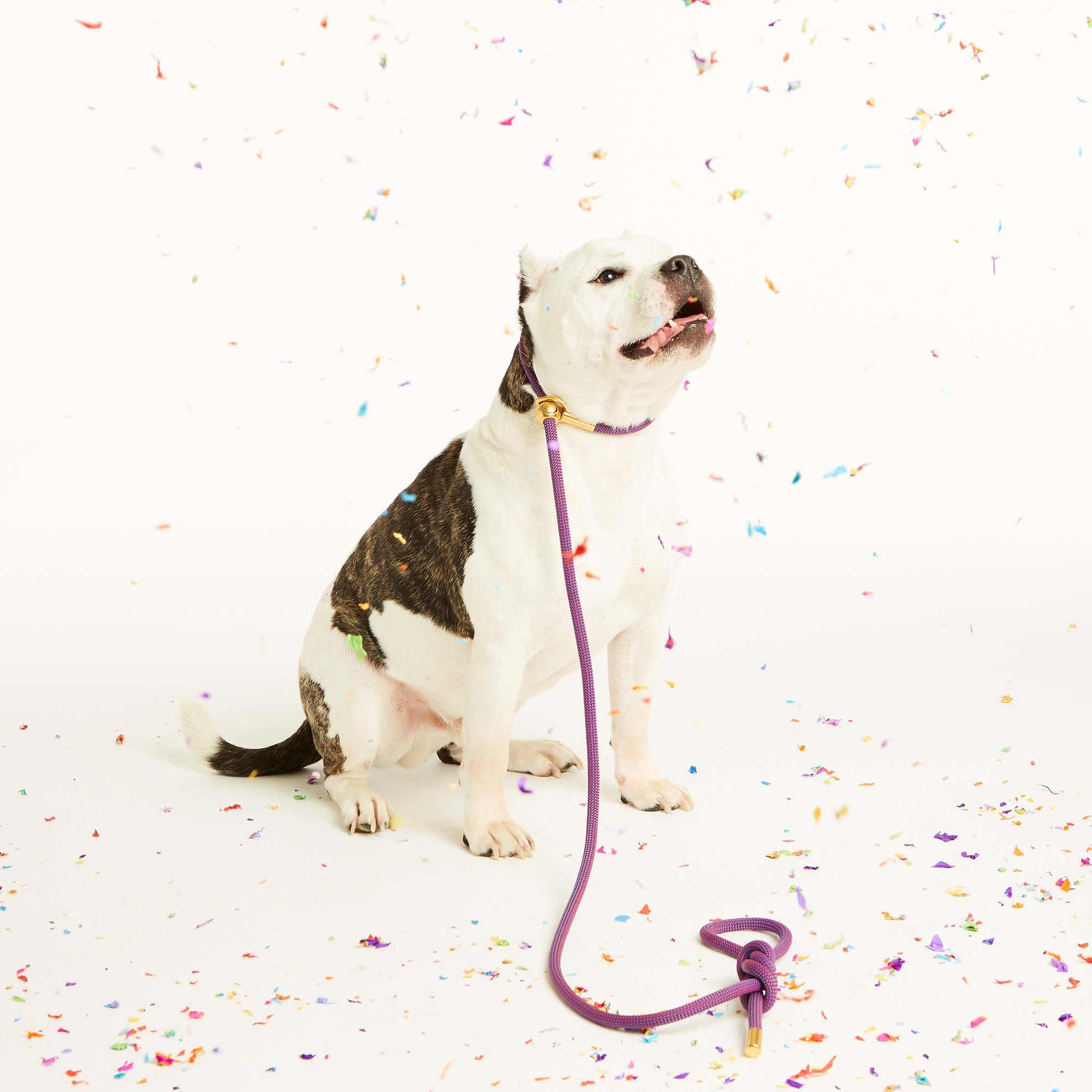 Berry Confetti Simple Slip Lead™