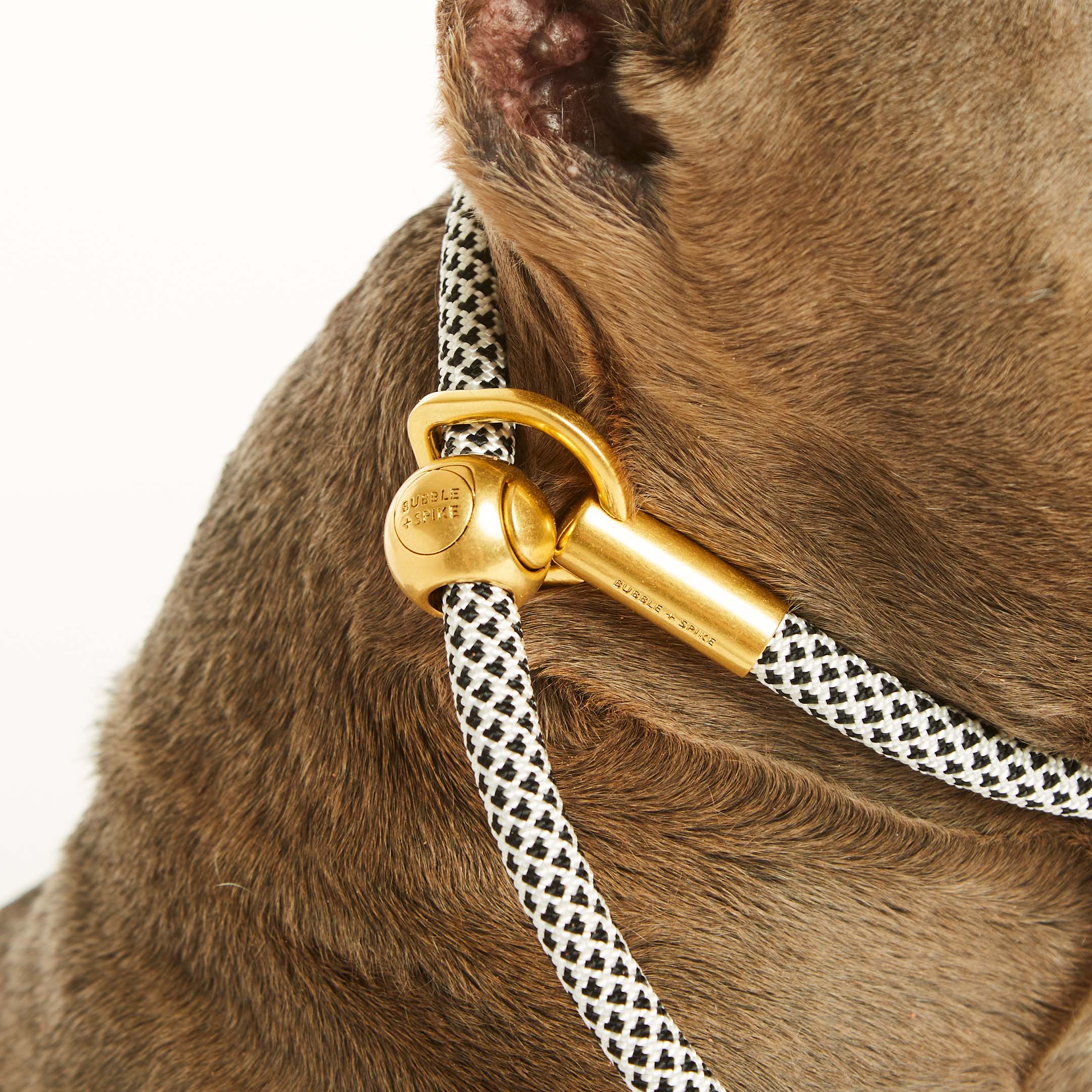 Black Diamond Simple Slip Lead™ – Bubble Spike - Main Image