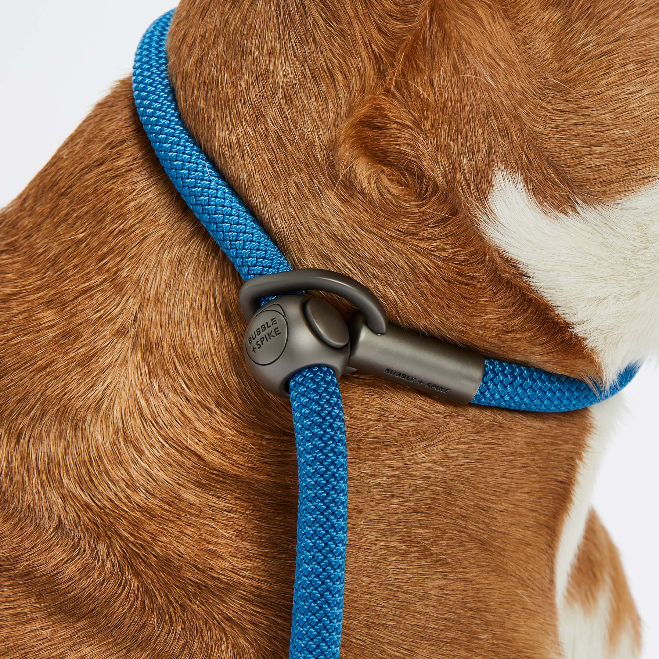 Cowboy Blue Simple Slip Lead™ – Bubble Spike