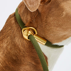 Olive Gold Simple Slip Lead™ - Bubble & Spike